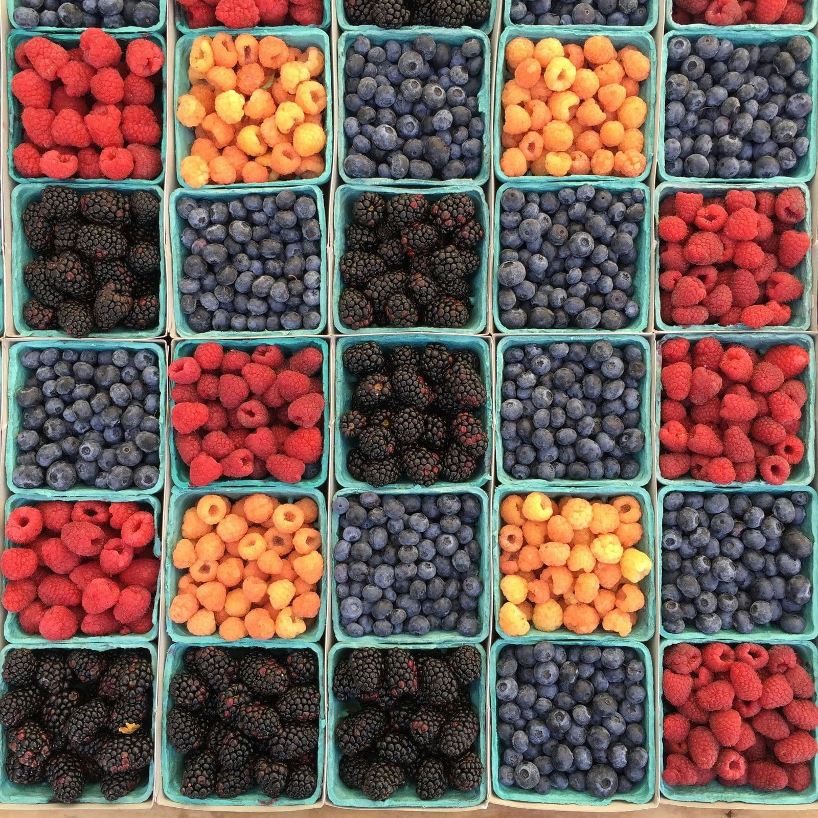 Berry Bliss